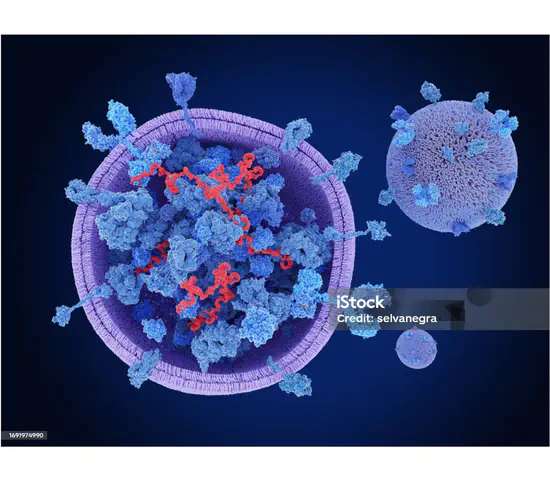 Extracellular vesicle events