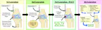 Regenerative Medicine: A Review of the Evolution of Autologous Chondrocyte Implantation (ACI) Therapy