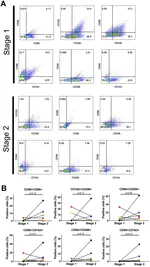 The synovial fluid from patients with focal cartilage defects contains mesenchymal stem/stromal cells and macrophages with pro- and anti-inflammatory phenotypes